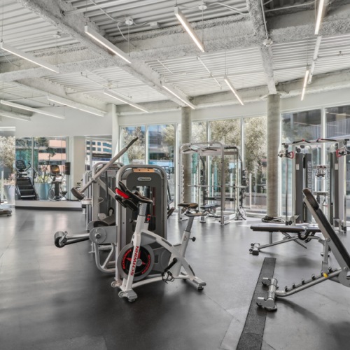 a gym with exercise equipment