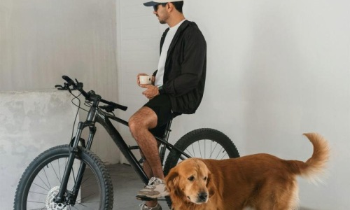 a man sitting on a bike next to a dog